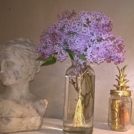 Le Clos Manceau Bed and Breakfast Le Mans Zewnętrze zdjęcie