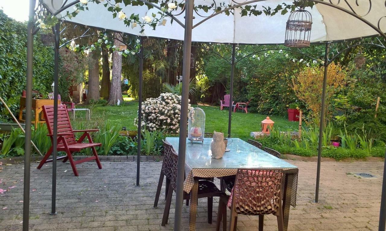 Le Clos Manceau Bed and Breakfast Le Mans Zewnętrze zdjęcie